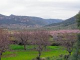 IMG_1904