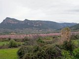 IMG_1905