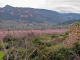 IMG_1906