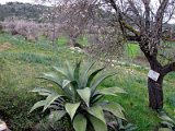 IMG_1907