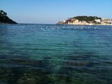 IMG_0182