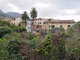 IMG_1991
