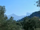 DSCN0554