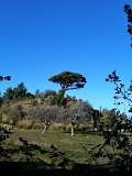 IMG_0330