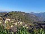 IMG_1725