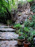 IMG_1962