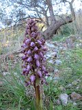 IMG_1969