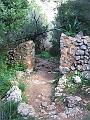 DSCF0101