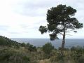DSCF0174