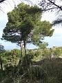 DSCF0185