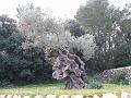 DSCF0208