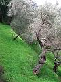 DSCF0229