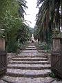 DSCF0295