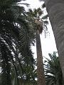 DSCF0302