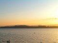 IMG_0317
