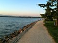 IMG_0320