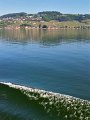 IMG_0336