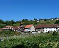 IMG_0337