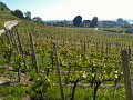 IMG_0340