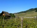 IMG_0341
