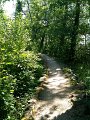 IMG_0348