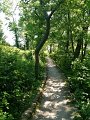 IMG_0349