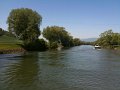 IMG_0352