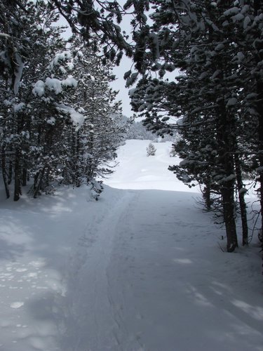 2006_01050066.JPG
