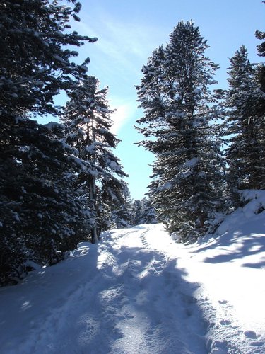 2006_01050098.JPG