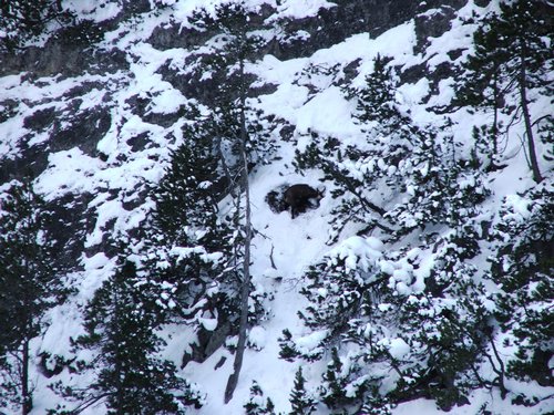 2006_01050117.JPG