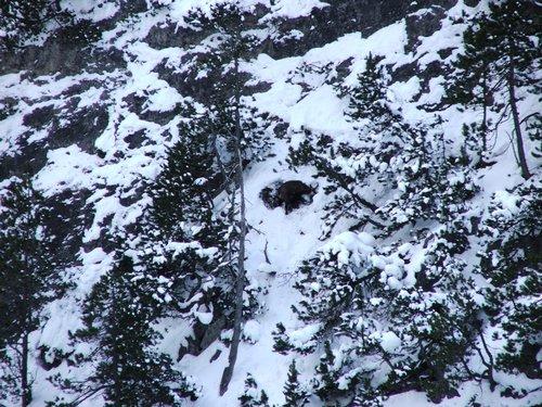 2006_01050117.JPG