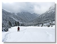 2006_01050045b.jpg