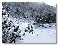 2006_01050062b.jpg
