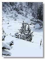 2006_01050063b.jpg