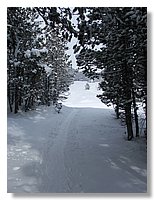 2006_01050066.JPG