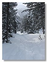 2006_01050067.JPG