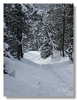 2006_01050068.JPG