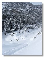 2006_01050069b.jpg