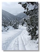 2006_01050070.JPG