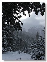 2006_01050074.JPG