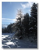 2006_01050083.JPG