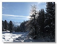 2006_01050084.JPG
