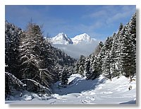 2006_01050085.JPG
