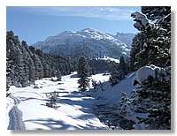 2006_01050086.JPG