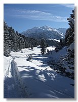 2006_01050088.JPG
