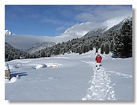 2006_01050089.JPG