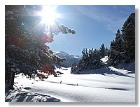 2006_01050092.JPG