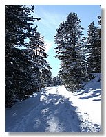 2006_01050098.JPG