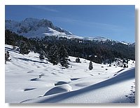 2006_01050099.JPG