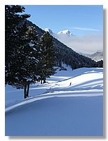 2006_01050101.JPG